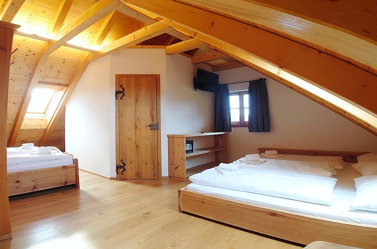 Appartement 6_ALP - Hochgolling 1  - Loft Apartment