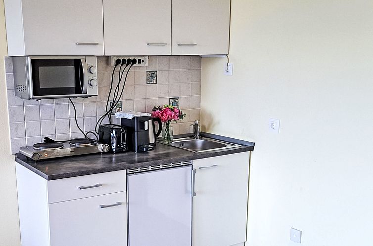 Appartement Wohnung 414 Bergblick