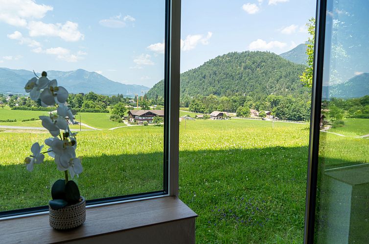 Appartement Wohnung Garten 1 Seeblick