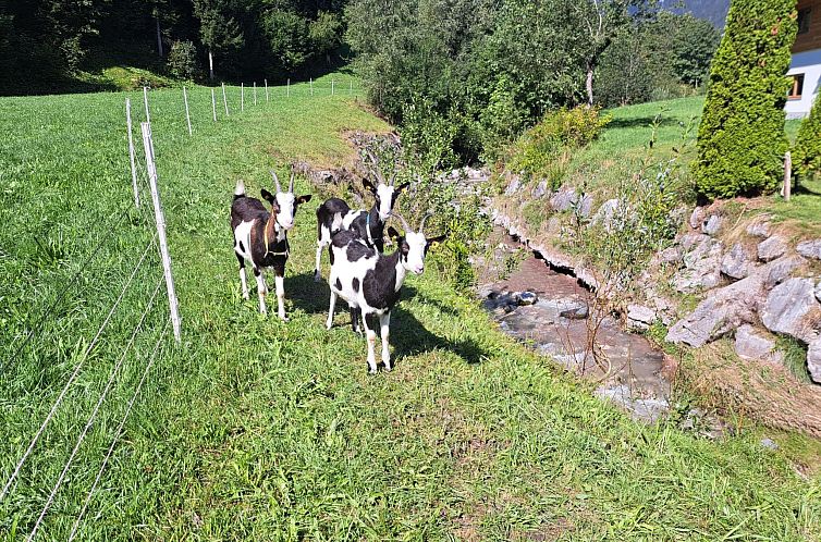 Appartement Waidmannsheil - 67qm