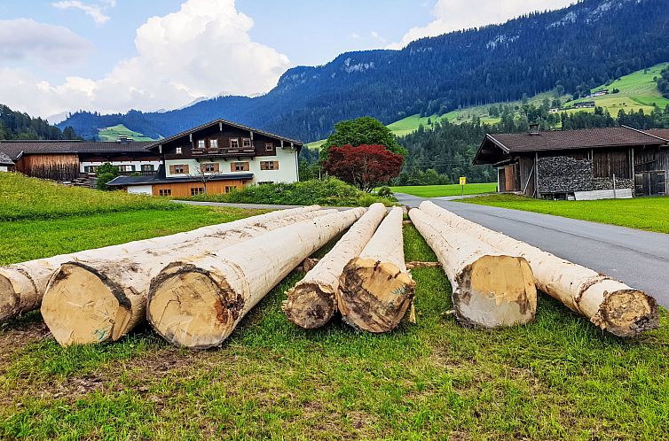 Appartement Weissbachergut