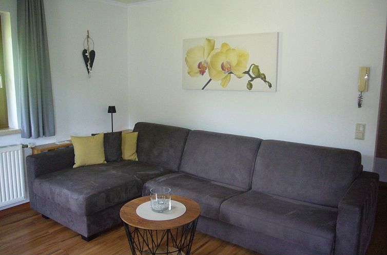 Appartement Haus Dorfblick