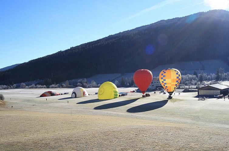 Alpensteinbock Mauterndorf I