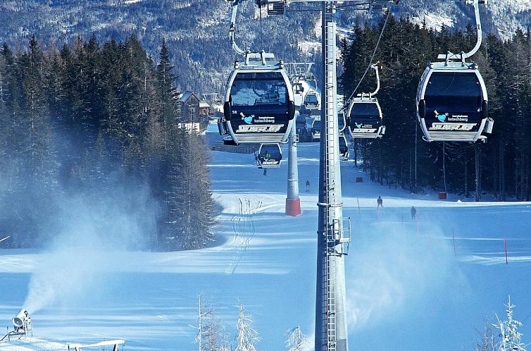 Ski Nature Apartment Lungau Top 6