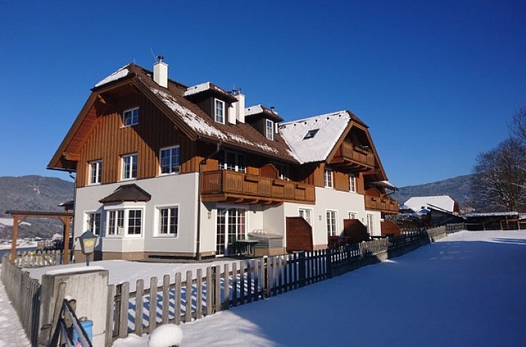 Enjoy winter views at Haus Aineckblick, a cozy apartment in Sankt Margarethen im Lungau, Salzburg.