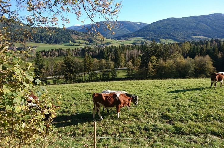 Haus Aineckblick