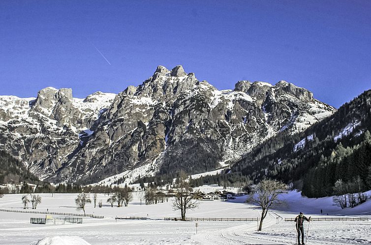 Appartement Edelweiss