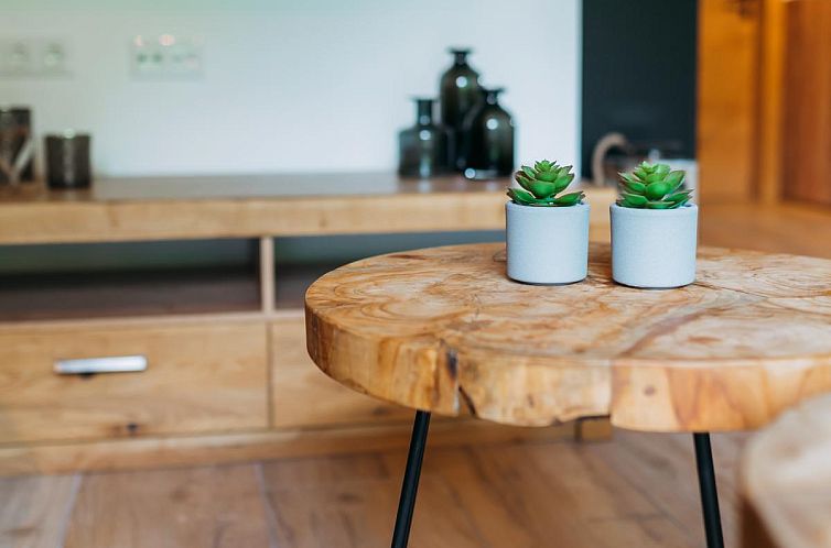 Tauernlodge Krimml 2B