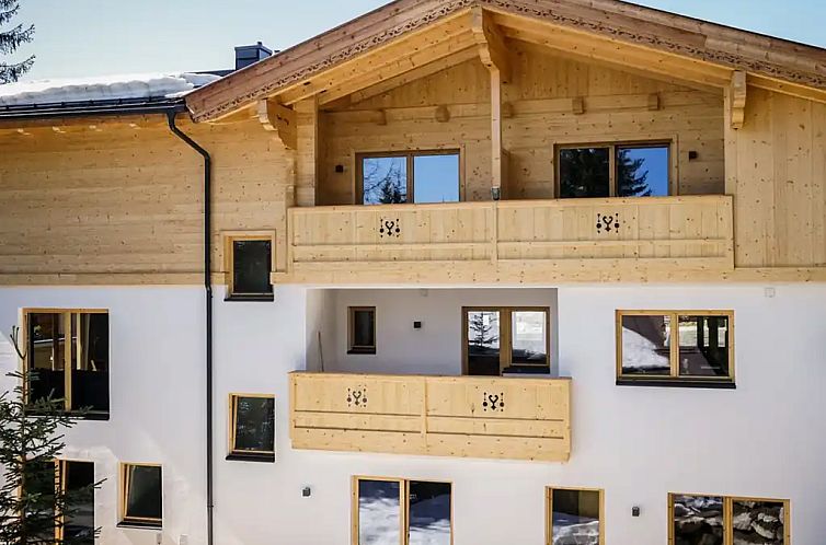 Chalet Zillertal Arena 1