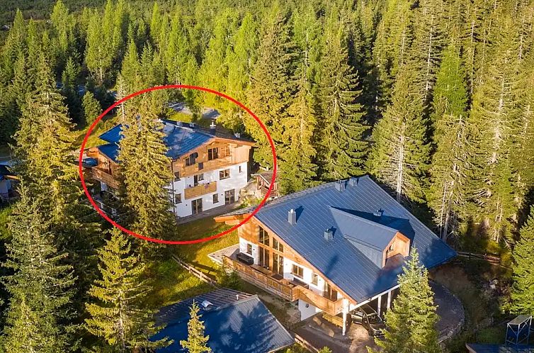 Chalet Zillertal Arena 1