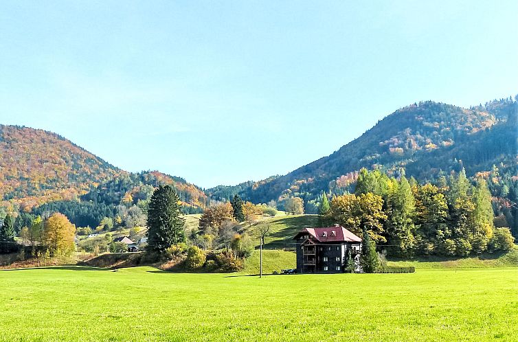 Appartement Taubenschlag / Top 4