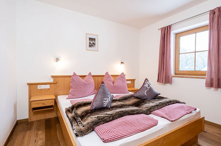 Appartement Wohnung Pihapperblick in Hollersbach im Pinzgau