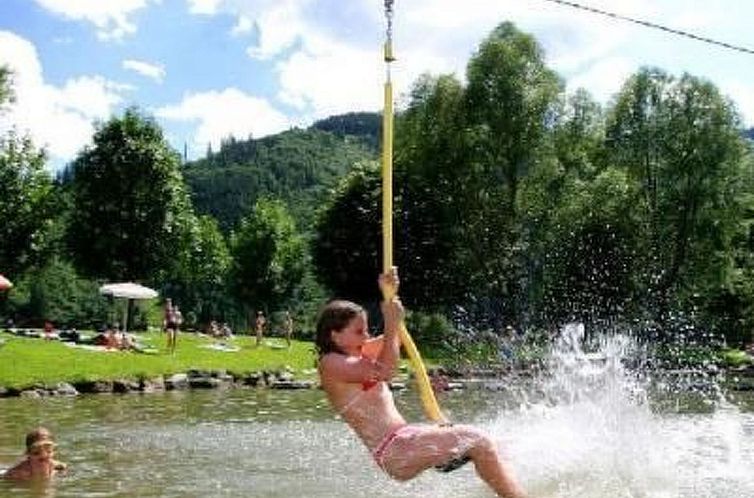 Appartement Wohnung Pihapperblick in Hollersbach im Pinzgau