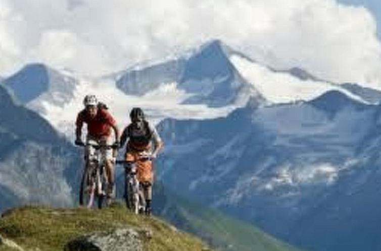 Appartement Wohnung Pihapperblick in Hollersbach im Pinzgau