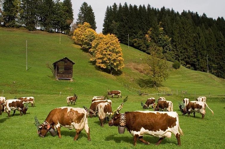 Appartement Wohnung Pihapperblick in Hollersbach im Pinzgau