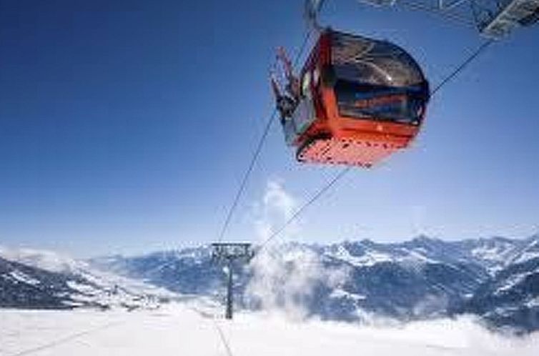 Appartement Wohnung Pihapperblick in Hollersbach im Pinzgau