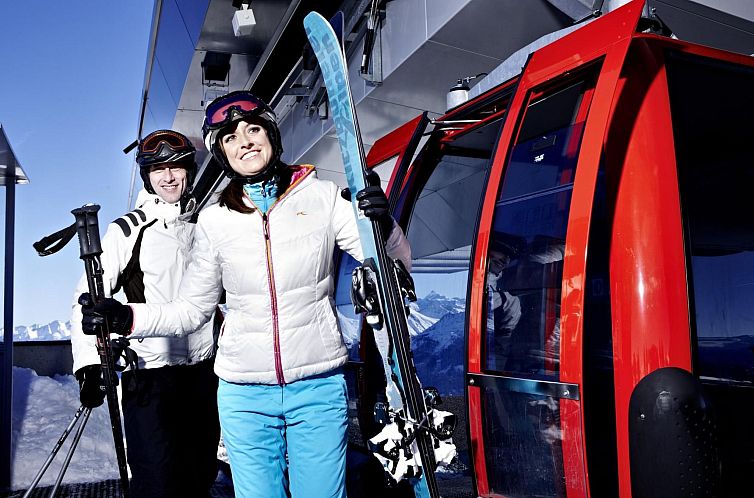 Appartement Wohnung Pihapperblick in Hollersbach im Pinzgau