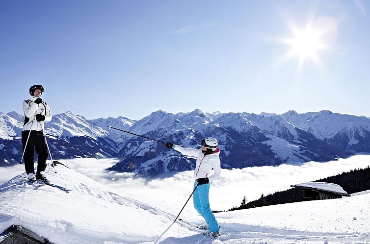 Appartement Wohnung Pihapperblick in Hollersbach im Pinzgau