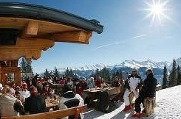 Appartement Wohnung Pihapperblick in Hollersbach im Pinzgau