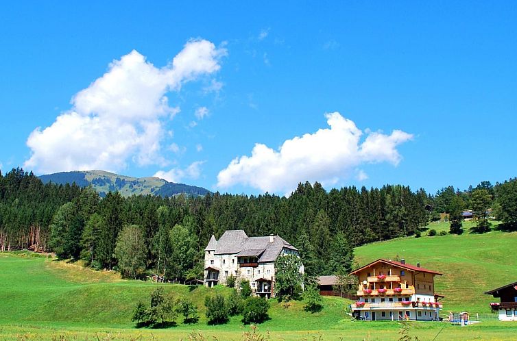 Appartement Sonnblick in Hollersbach im Pinzgau