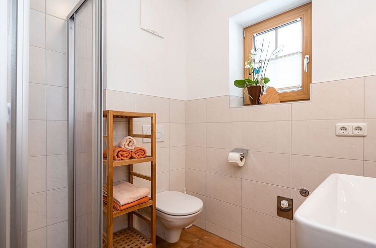 Appartement Sonnblick in Hollersbach im Pinzgau