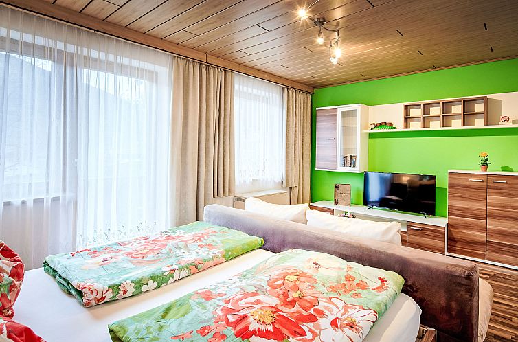 Appartement nahe den Skigebieten und Ausgangspunkt zu Sehens