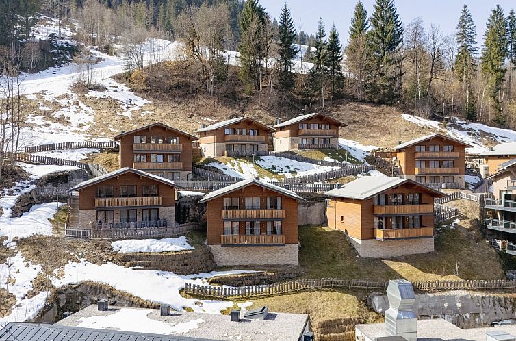 Chalet in Wagrain