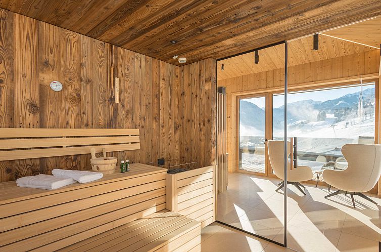 Appartement Mountain Suite Nr 101