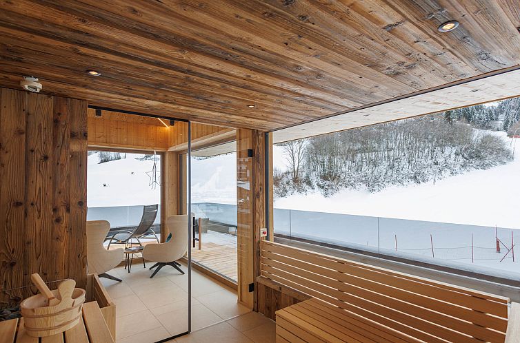 Appartement Mountain Suite Nr 101