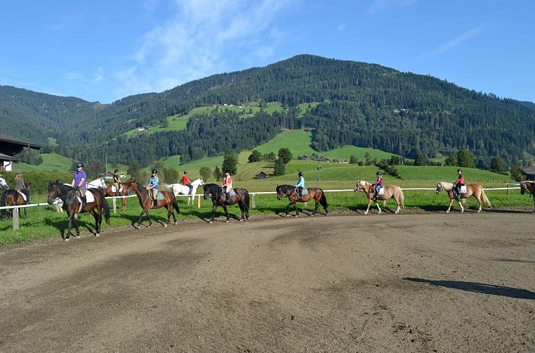Siglavy Flachau