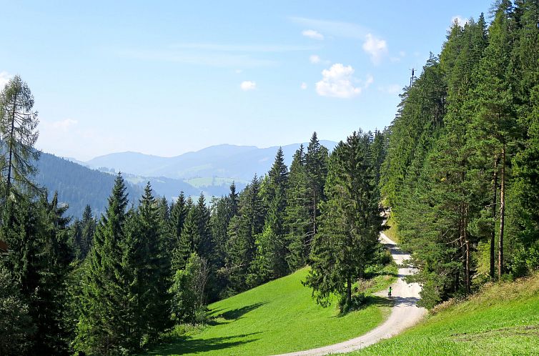 Appartement Tobias 1