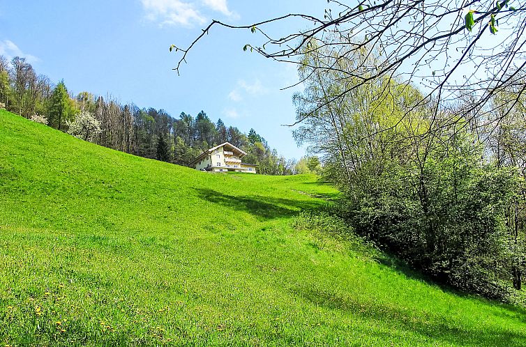 Appartement Grün