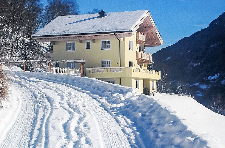 Appartement Grün