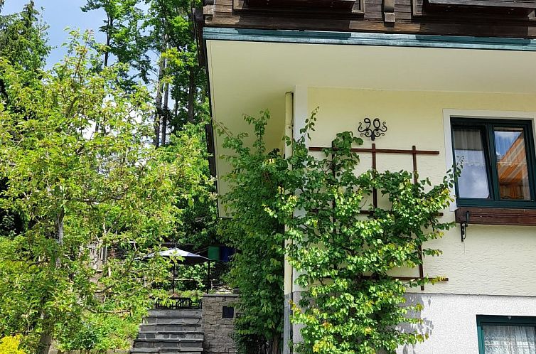 Vakantiehuis Haus Bernkogelblick in Goldegg