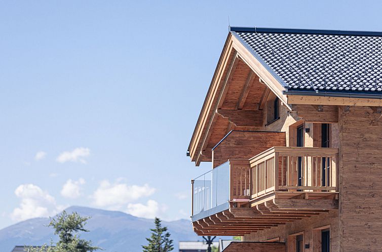 Vakantiehuis Premium # 1B mit Sauna