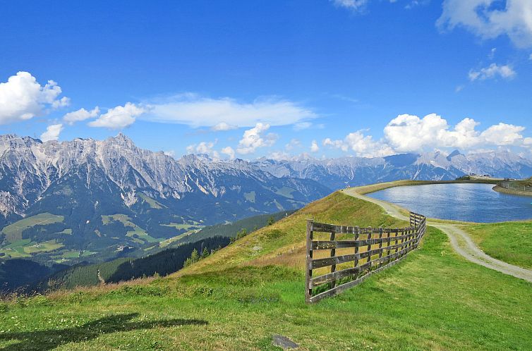 Appartement Suite mit 1 SZ & Wellnessbereich
