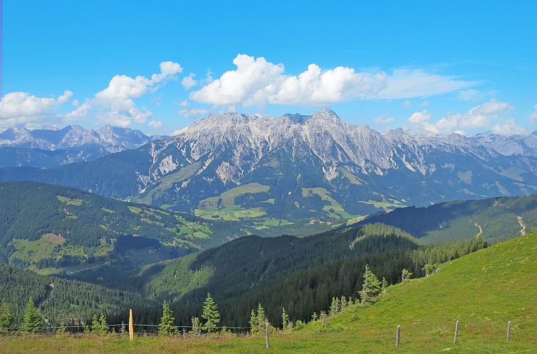 Appartement Suite mit 1 SZ & Wellnessbereich