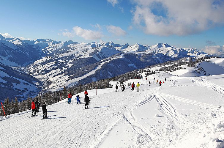 Appartement Suite mit 1 SZ & Wellnessbereich