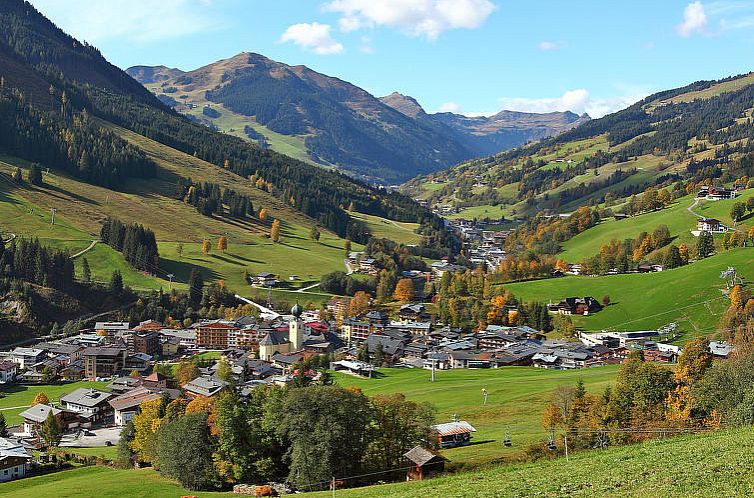 Appartement Suite bis zu 4 P. & Wellnessbereich