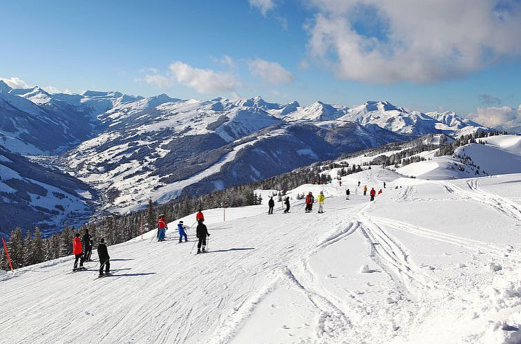 Appartement Suite bis zu 4 P. & Wellnessbereich