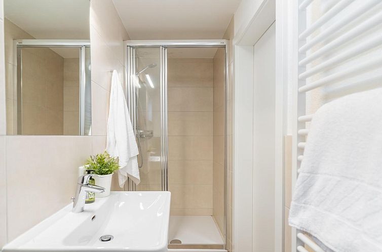 Alpensteinbock Saalbach