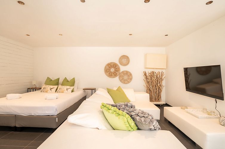 Vakantiehuis Villa Rosetree with sauna and pool table