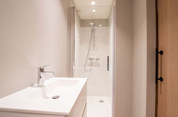 Vakantiehuis Huyze Ter Bercken with swimming pond