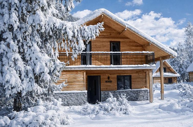 Guest house 1140918 - Chalet Karnten - Seechalet Afritz