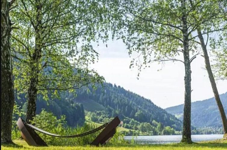 Alpenchalet Afritz am See