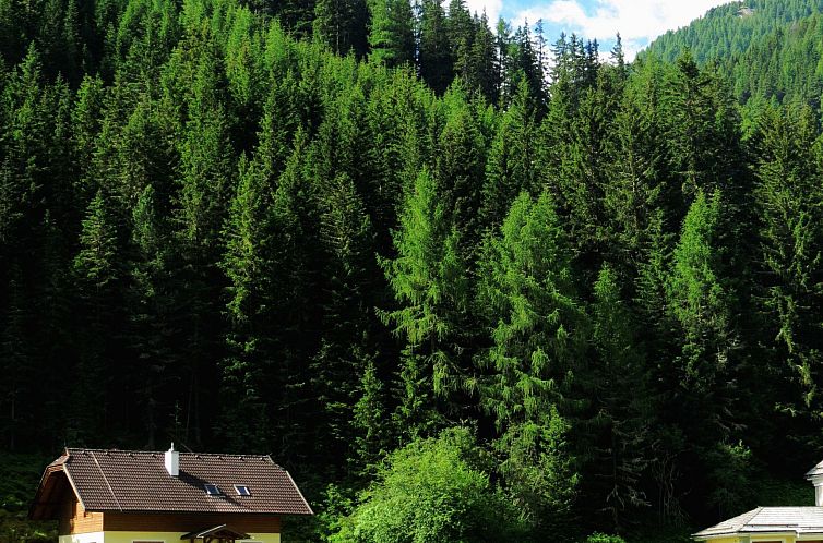 Vakantiehuis Gemütliches Ferienhaus in ruhiger Lage