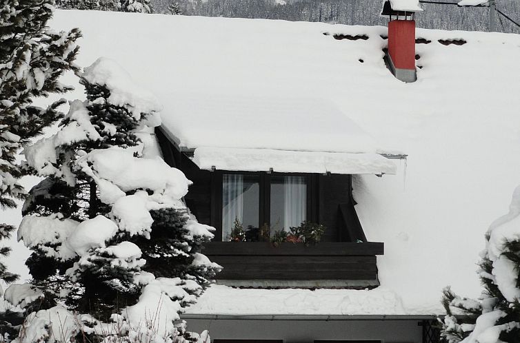 Appartement Kleine Wohnung in Seeboden mit Großem Garten
