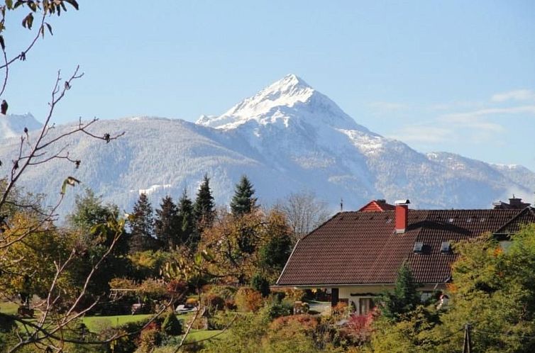 Appartement Nette Wohnung in Seeboden mit Großem Garten