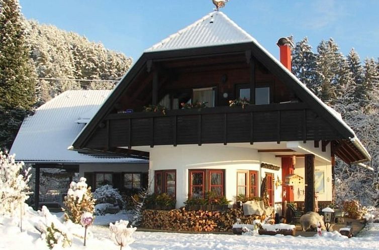 Appartement Nette Wohnung in Seeboden mit Großem Garten