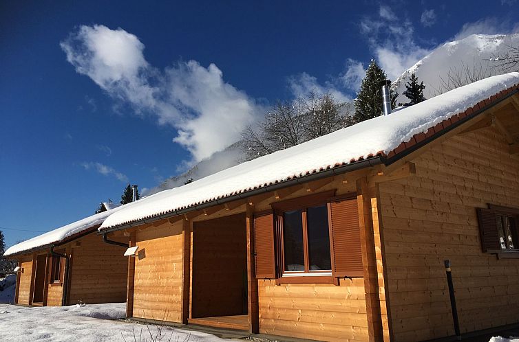 Vakantiehuis Chalet Stressless I